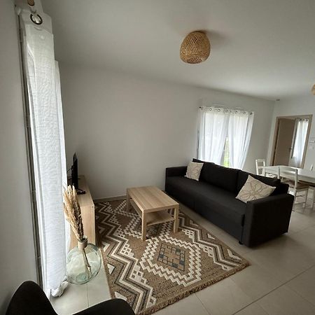 Appartement Avec Jardin Chateauneuf-de-Galaure Экстерьер фото